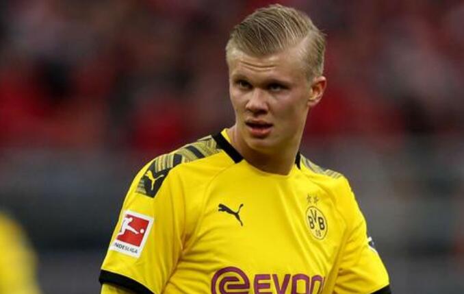 业余新秀的 业余新秀的