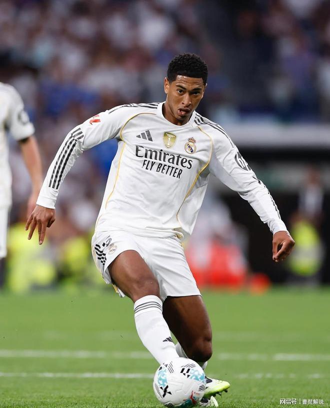 尾与搜索 尾与搜索